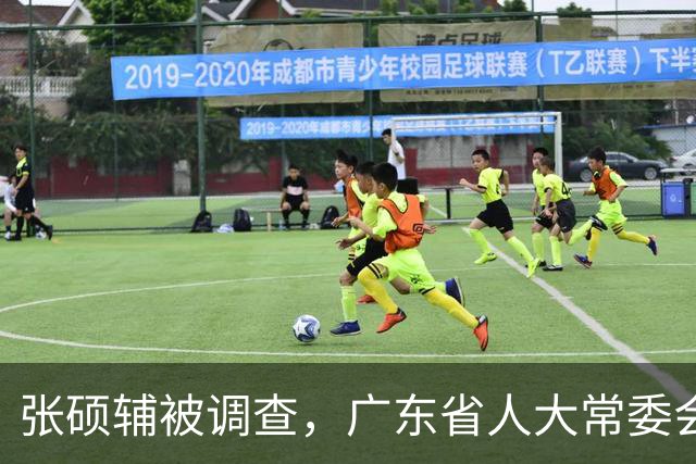 张硕辅被调查，广东省人大常委会表态支持中央举措