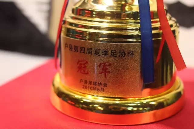 悲剧！22岁男子游玩过山车后昏倒，于次日因脑损伤去世